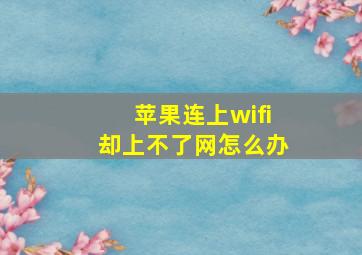 苹果连上wifi却上不了网怎么办