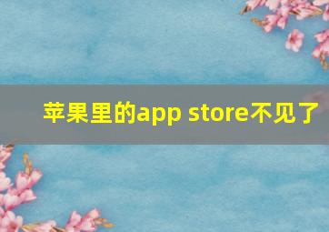 苹果里的app store不见了