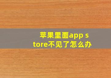 苹果里面app store不见了怎么办