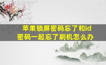 苹果锁屏密码忘了和id密码一起忘了刷机怎么办