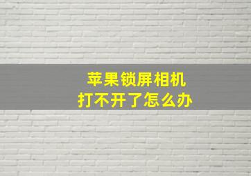 苹果锁屏相机打不开了怎么办