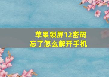 苹果锁屏12密码忘了怎么解开手机