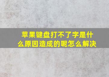 苹果键盘打不了字是什么原因造成的呢怎么解决