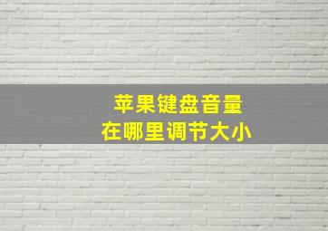 苹果键盘音量在哪里调节大小