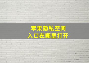 苹果隐私空间入口在哪里打开