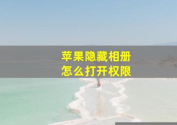 苹果隐藏相册怎么打开权限