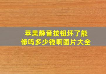 苹果静音按钮坏了能修吗多少钱啊图片大全