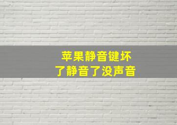 苹果静音键坏了静音了没声音