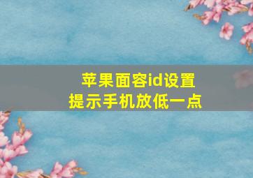 苹果面容id设置提示手机放低一点