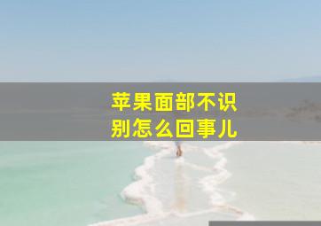 苹果面部不识别怎么回事儿