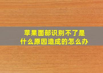 苹果面部识别不了是什么原因造成的怎么办