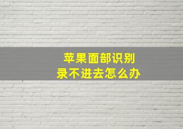 苹果面部识别录不进去怎么办