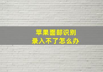 苹果面部识别录入不了怎么办