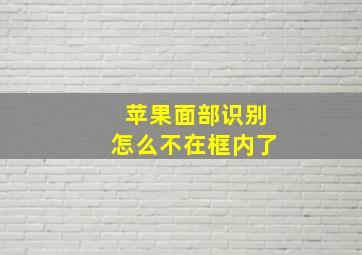 苹果面部识别怎么不在框内了