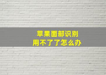 苹果面部识别用不了了怎么办