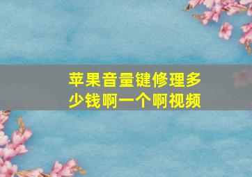 苹果音量键修理多少钱啊一个啊视频