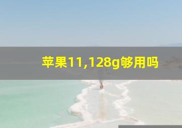 苹果11,128g够用吗