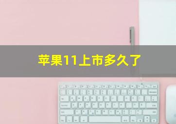 苹果11上市多久了