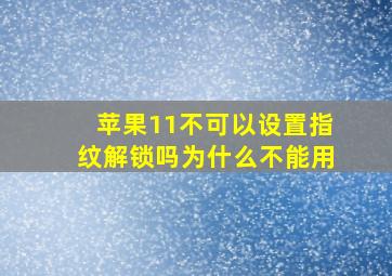 苹果11不可以设置指纹解锁吗为什么不能用