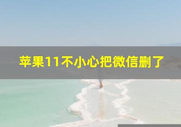 苹果11不小心把微信删了