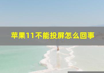 苹果11不能投屏怎么回事