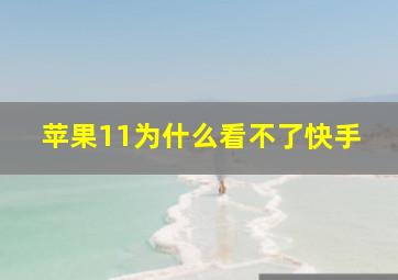 苹果11为什么看不了快手