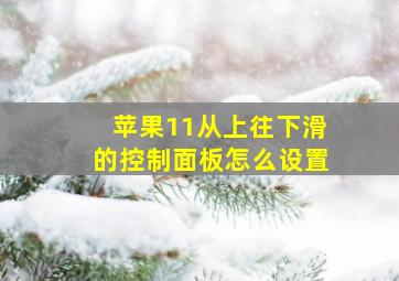 苹果11从上往下滑的控制面板怎么设置