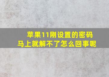 苹果11刚设置的密码马上就解不了怎么回事呢