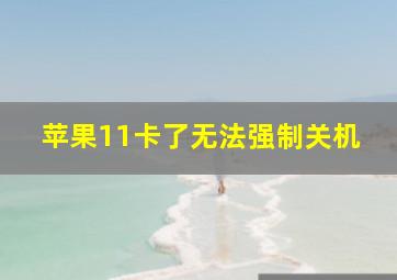 苹果11卡了无法强制关机