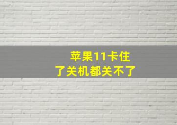 苹果11卡住了关机都关不了