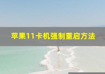 苹果11卡机强制重启方法