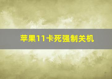 苹果11卡死强制关机