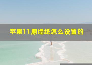 苹果11原墙纸怎么设置的