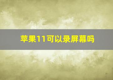 苹果11可以录屏幕吗