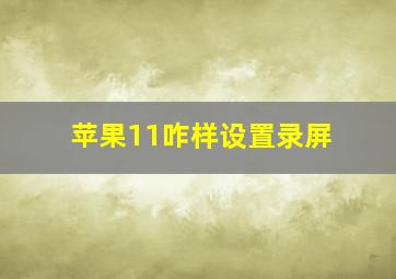 苹果11咋样设置录屏