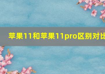 苹果11和苹果11pro区别对比