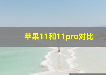 苹果11和11pro对比