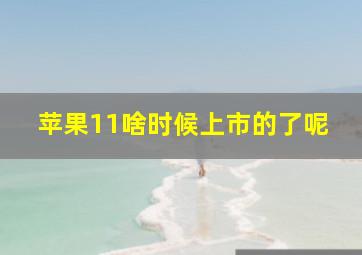 苹果11啥时候上市的了呢