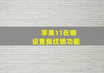 苹果11在哪设置指纹锁功能