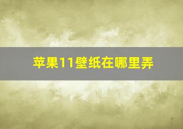 苹果11壁纸在哪里弄