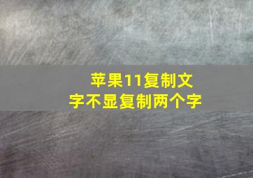 苹果11复制文字不显复制两个字