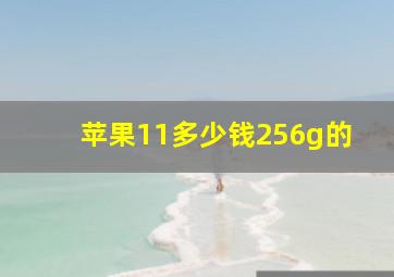 苹果11多少钱256g的