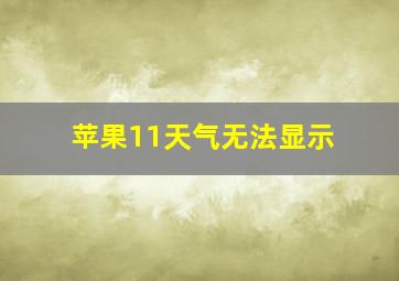 苹果11天气无法显示