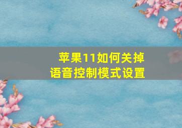 苹果11如何关掉语音控制模式设置