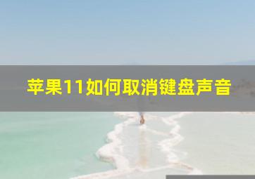 苹果11如何取消键盘声音