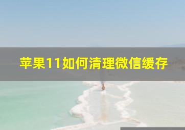 苹果11如何清理微信缓存