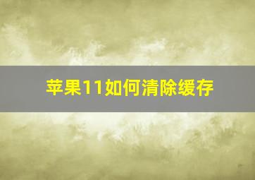 苹果11如何清除缓存