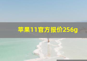 苹果11官方报价256g