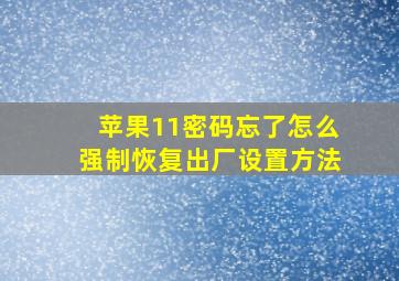 苹果11密码忘了怎么强制恢复出厂设置方法