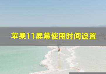 苹果11屏幕使用时间设置